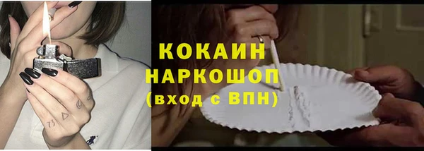 сатива Мегион