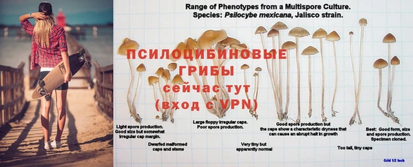 ALPHA-PVP Абаза
