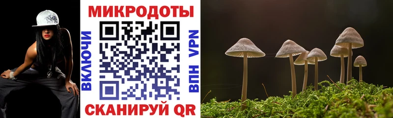 mega онион  Ильский  Галлюциногенные грибы MAGIC MUSHROOMS 